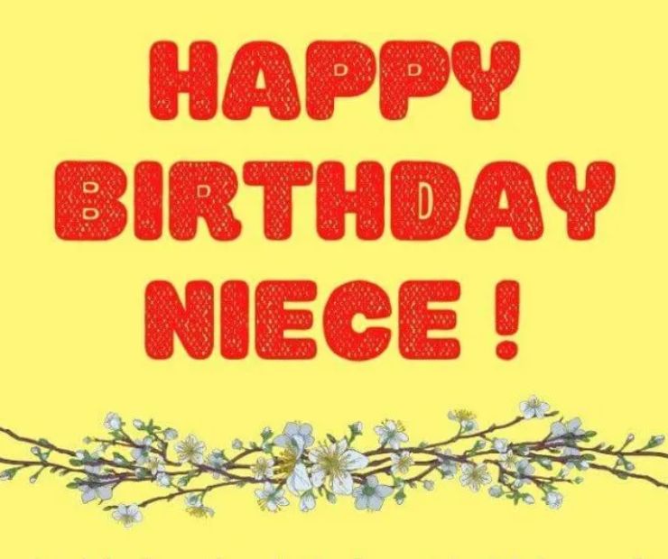Sweet and Loving Birthday Wishes for Your Niece