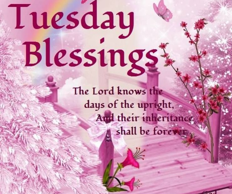 120+ Tuesday Blessings and Prayers for a Wonderful Day – Cute Images (2025)