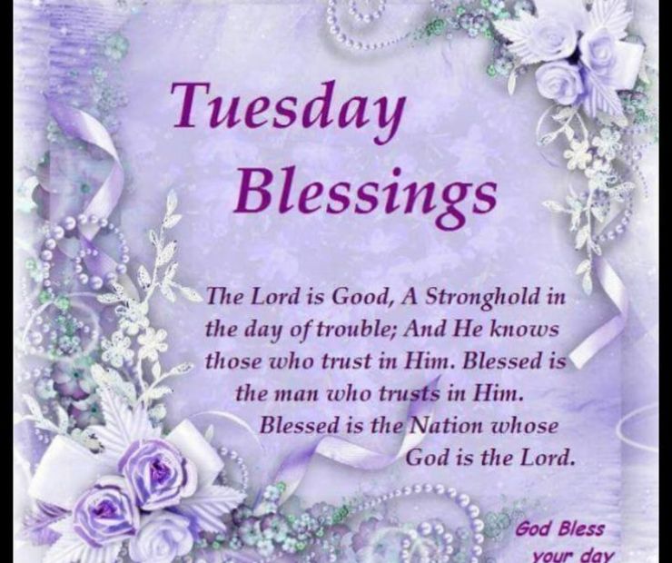 80+ Positive Good Morning Tuesday Blessings to Start Your Week Strong (2025)