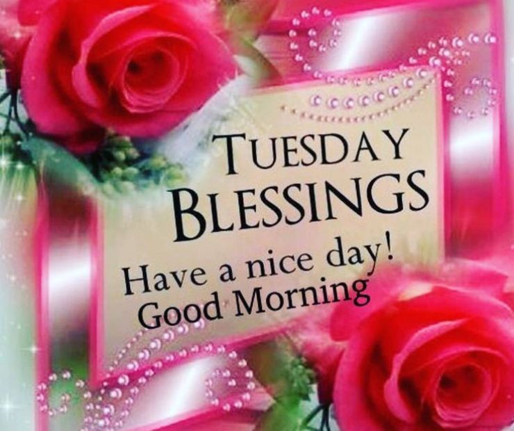 Beautiful Positive Good morning Tuesday Blessings