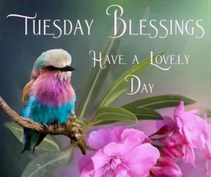 Gratitude-Filled Positive Good Morning Tuesday Blessings