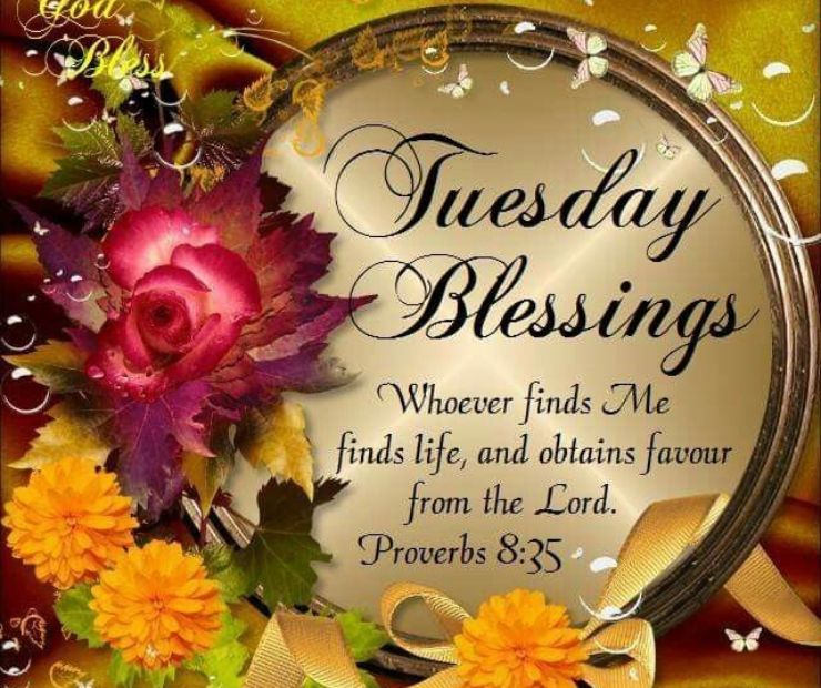 Positive Tuesday Blessings