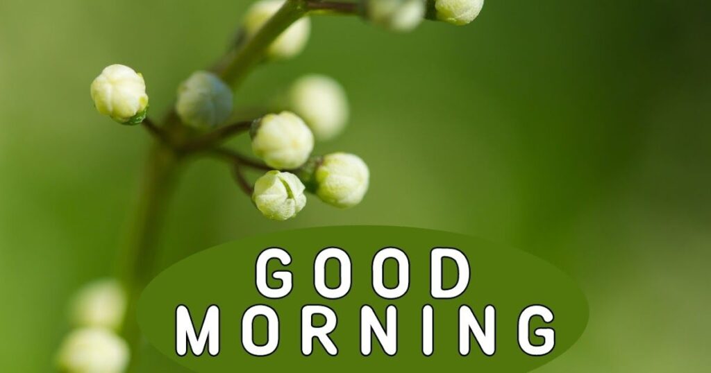 Positive Morning Blessings For A Happy Start