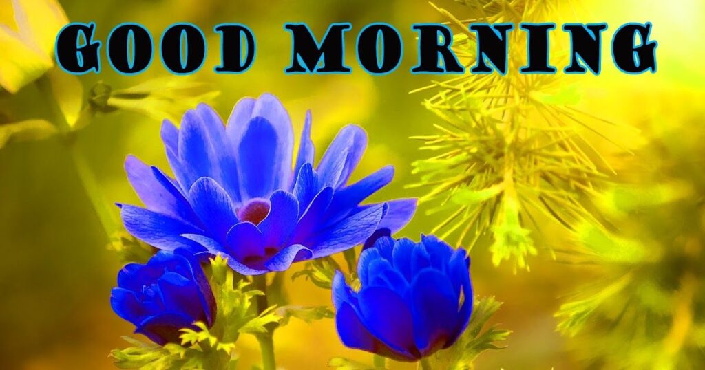 Good Morning Saturday Blessings 