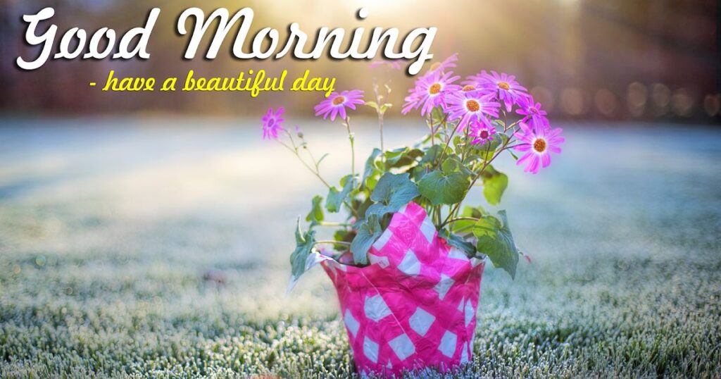 Good Morning and Happy Saturday Messages for husband