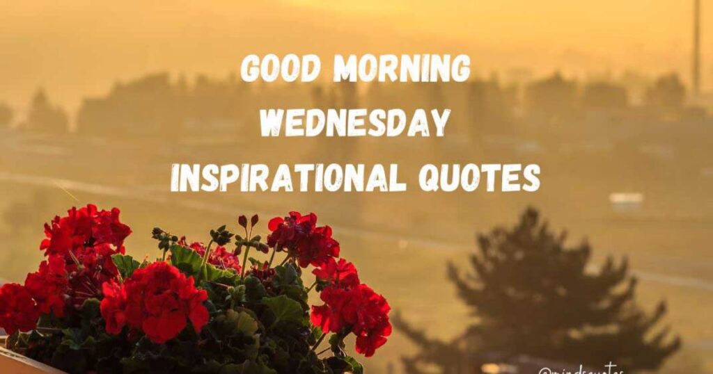 Positive Quotes for Wednesday