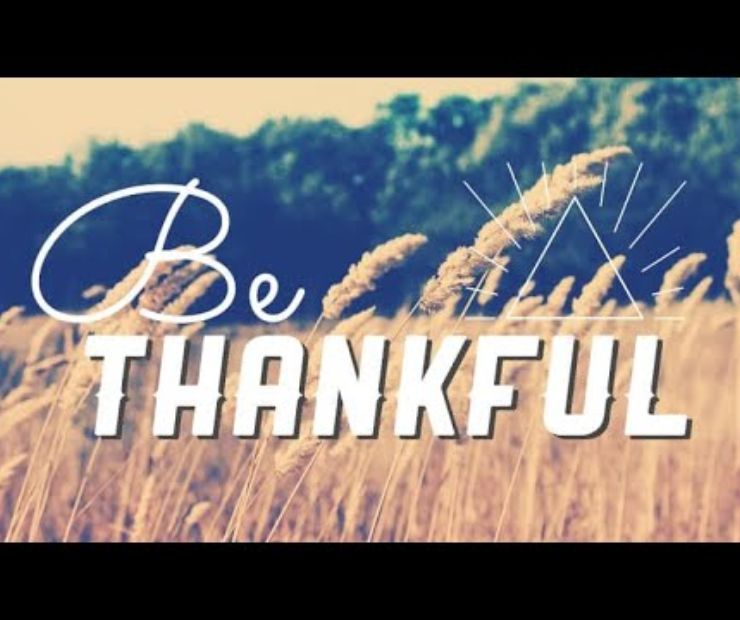 Thankful Reflection on Freedom