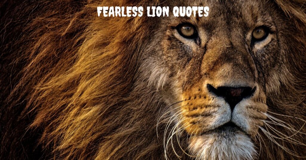 Fearless Lion Quotes