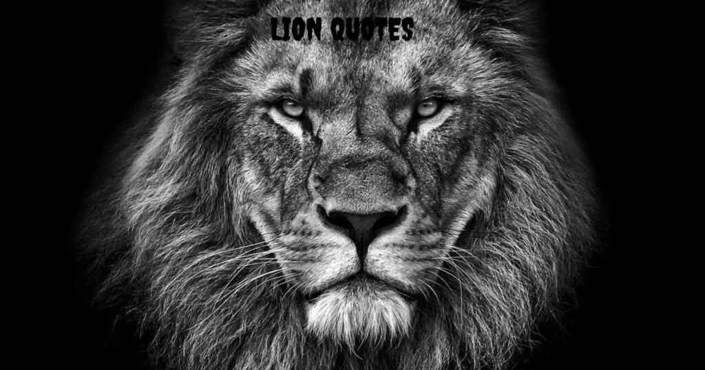 Lion Quotes
