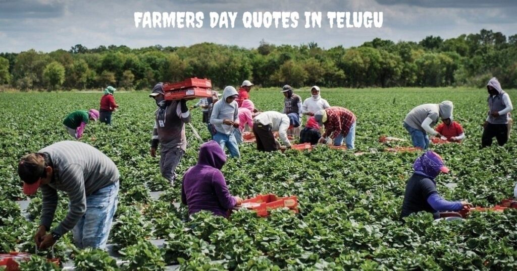 Farmers Day Quotes In Telugu